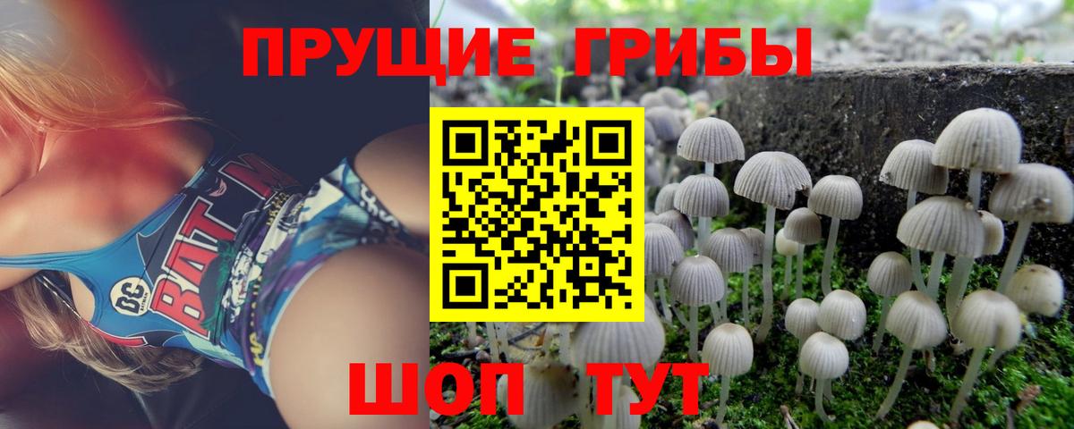 Гулькевичи  купить   Вход с VPN  Галлюциногенные грибы Psilocybine cubensis 